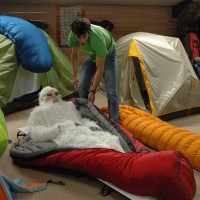 Le Yéti, produits et matériel pour sports de montagne et voyage