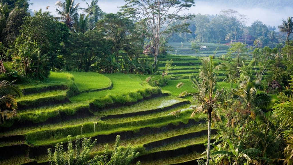 bali_2