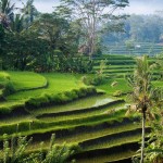Panorama de Bali en Indonésie