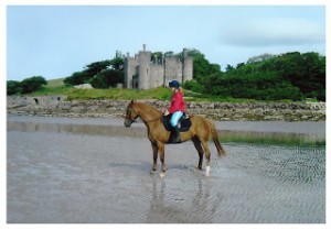 Photo chateau Irlande