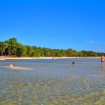 Des Landes  en aquitaine