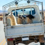 Préparer un voyage au Pérou