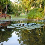 Les jardins des hôtels du monde