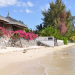 Voyage dans un pays tropical : à la découverte de Maurice