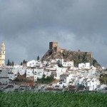 Sur la route des Villages Blancs d´Andalousie…