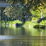 Le Tarn-et-Garonne est la destination idéale pour les amoureux de la nature et de vacances « slow tourisme ».