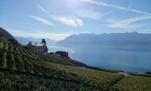 Loger chez l’habitant à Lausanne 2