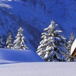 Le formulaire ESTA: conditions et obtention
