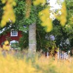 Partir un weekend pour découvrir le glamping