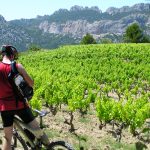 L’œnotourisme : une opportunité pour découvrir de grands vignobles