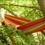 Sam’Branche propose depuis 2009 des aventures incroyables dans les arbres