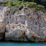 Des vacances dans les calanques de Cassis, le bon plan des vacances d’été