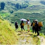 Six attentions du voyage à Sapa