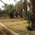 Excursion de quelques jours en quad dans le désert de Merzouga