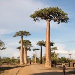 Obtenir sa carte de résident à Madagascar