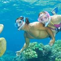 S’initier au monde sous-marin grâce au Snorkeling