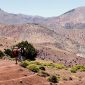 Quelle programme de randonnée pour initier les enfants à la marche dans le désert Marocain?