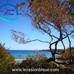 L’évasion Bleue Hyères : Promenade en mer, Visite guidée à bord